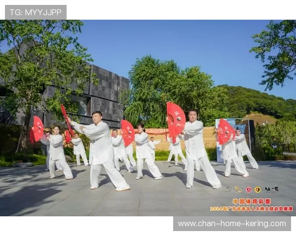 武术世锦赛：中国太极队的柔术精髓，太极柔道
